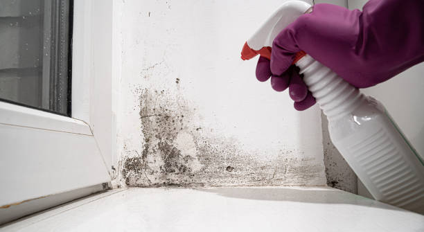 Reliable Dranesville, VA Water damage restoration Solutions